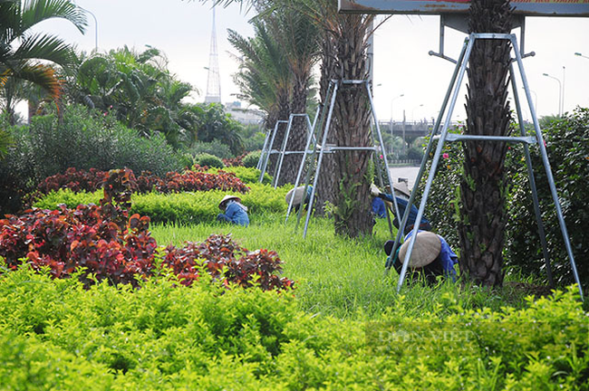 Công ty Công viên cây xanh Hà Nội trúng hàng loạt gói thầu &quot;khủng&quot; nào trên địa bàn Thành phố - Ảnh 2.