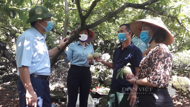 Thái Nguyên chú trọng nâng cao chất lượng, tạo thương hiệu cho sản phẩm, na dễ bán, giá trị cao - Ảnh 5.