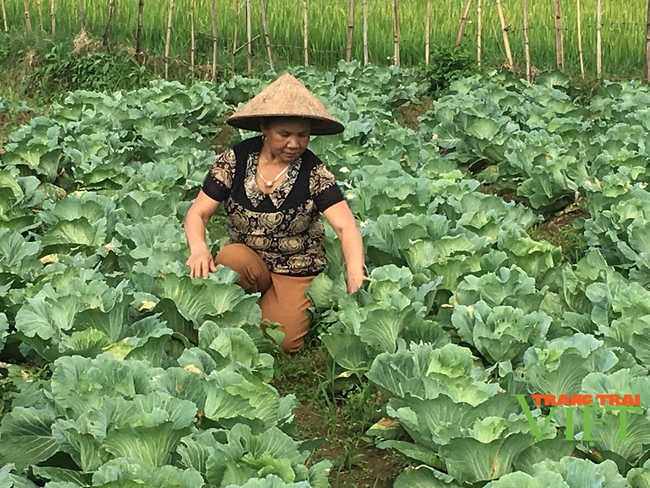 Bước tiến trong sản xuất nông nghiệp ở Vân Hồ - Ảnh 1.