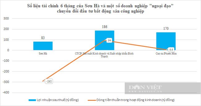 Nợ gấp 2,5 lần vốn chủ, Sơn Hà của ông Lê Vĩnh Sơn có &quot;quá sức&quot; khi lấn sân BĐS khu công nghiệp? - Ảnh 5.