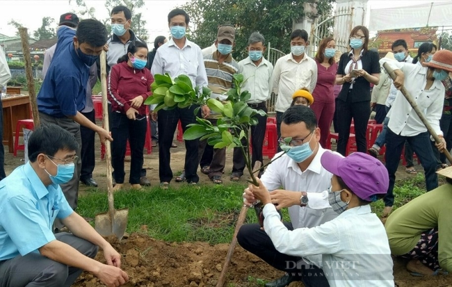 Quảng Nam: Hiệu quả phong trào nông dân thi đua sản xuất, kinh doanh giỏi tại thị xã Điện Bàn - Ảnh 2.