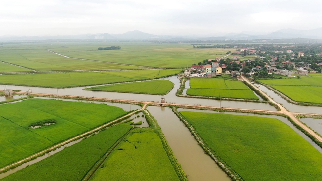 “Rảnh việc nước, tôi về nhà” (bài 2): Vui với niềm vui được mùa - Ảnh 3.