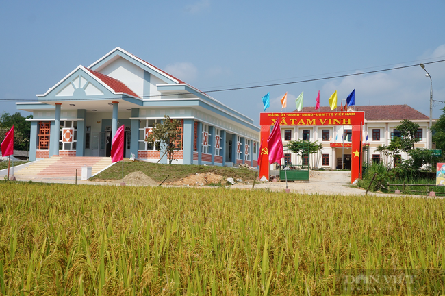 Hội Nông dân Quảng Nam lấy cơ sở làm nòng cốt để nâng cao đời sống nông dân   - Ảnh 1.