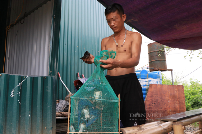 Công nhân &quot;mắc kẹt&quot; ở Hà Nội bẫy chim, hái rau dại ăn qua bữa giữa đợt giãn cách xã hội - Ảnh 8.