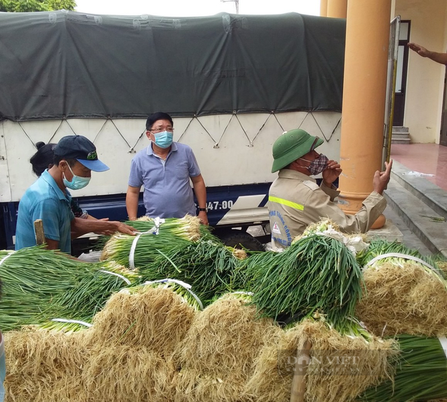 Hà Nội giãn cách xã hội: Hội Nông dân kết nối tiêu thụ hơn 400 tấn rau củ, 150 tấn nhãn - Ảnh 3.