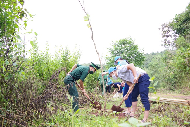 Điện Biên: Tồng 1.200 cây hoa ban ven đường đi mốc giao điểm biên giới ba nước Việt – Lào - Trung - Ảnh 1.
