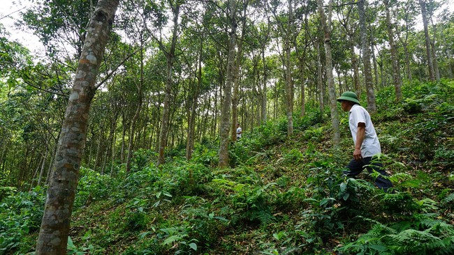 “Rảnh việc nước, tôi về nhà” (bài cuối): Những lời căn dặn vượt tầm thời đại… - Ảnh 3.