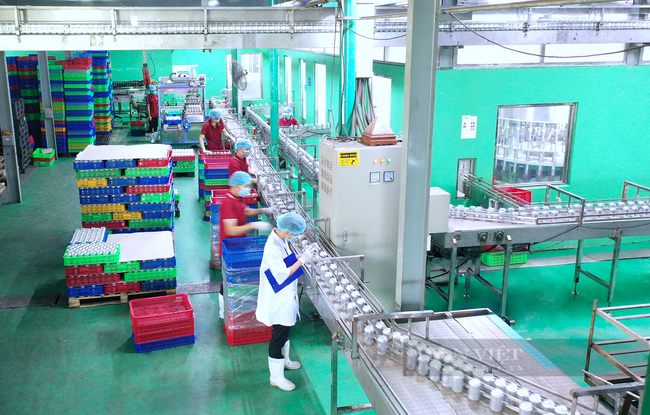 Doanh nghiệp sản xuất thực phẩm TP Hồ Chí Minh sẵn sàng 3 tại chỗ  VTVVN