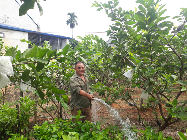 Thái Nguyên: Quỹ hỗ trợ nông dân – Điểm tựa giúp nông dân phát triển kinh tế - Ảnh 4.