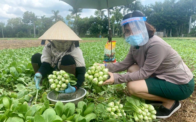 Chị Ngọc (phải) xuống tận vườn của nông dân để thu mua nông sản với giá thành ngay tại vườn. Ảnh: Minh Ngọc