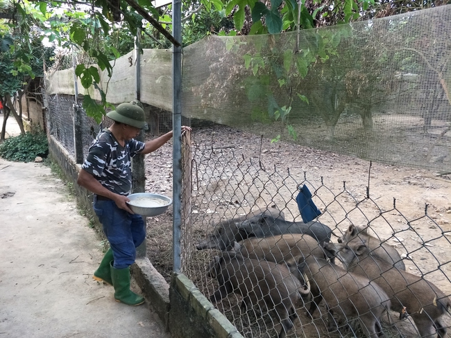 Xây dựng nông thôn mới tại Thủ đô: “Nói không” với nợ đọng, chạy theo thành tích - Ảnh 1.