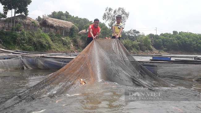 Thành phố Sông Công: Vượt khó khăn thực hiện thắng lợi các mục tiêu kinh tế - xã hội  - Ảnh 3.