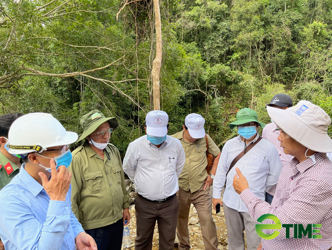 Quảng Ngãi: Chuyển mục đích rừng trồng quy hoạch phòng hộ để làm dự án thuỷ điện Nước Long  - Ảnh 3.