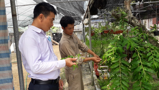 Thái Nguyên: Trải qua đủ thứ nghề, anh nông dân về nhà trồng hoa cho thu nhập khá - Ảnh 4.