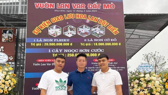 Hai đại gia lan đột biến vừa bị bắt vì thu lợi trăm tỷ đồng từ than lậu đối mặt hình phạt nào? - Ảnh 3.