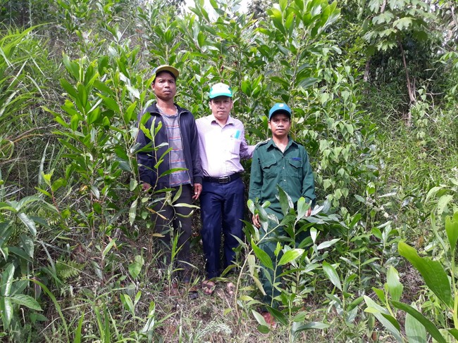 Chi trả dịch vụ môi trường rừng ở Quảng Nam: Chú trọng đôn đốc thu, tăng cường kiểm tra, giám sát việc chi trả - Ảnh 2.