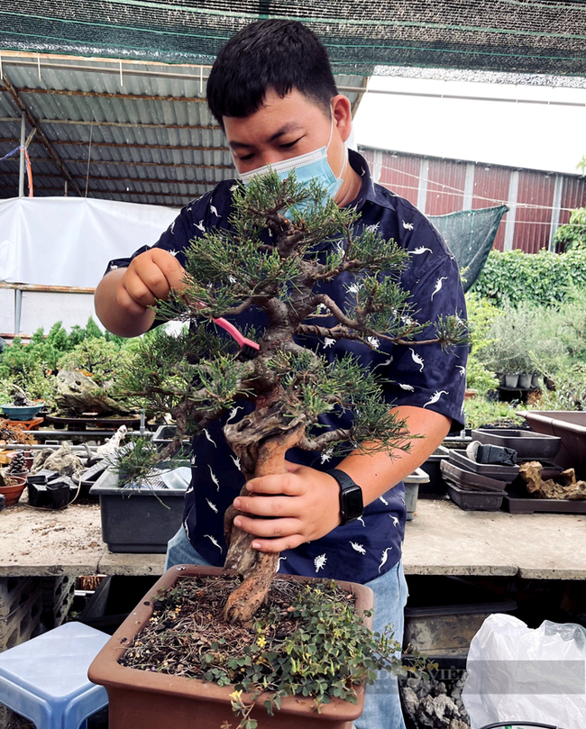 Anh Nguyễn Trung Kiên chăm sóc chậu bonsai trong vườn nhà. Ảnh: Hội Nông dân TP.Thủ Đức