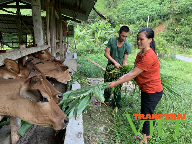 Lai Châu: Xã biên giới Pa Ủ nhiều thay đổi trong xây dựng NTM   - Ảnh 3.