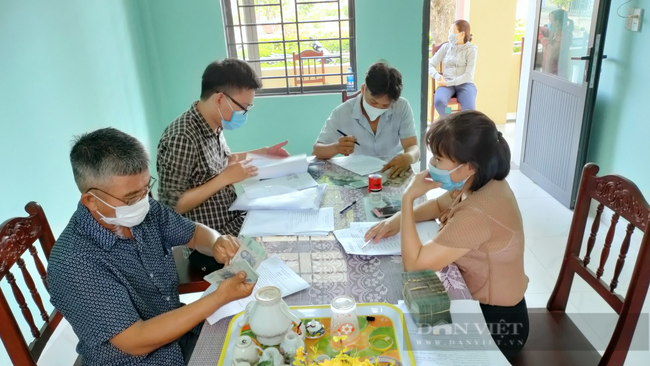 Quảng Nam: Nông dân thị xã Điện Bàn mạnh dạn trồng cỏ nuôi bò nhờ Quỹ hỗ trợ nông dân tiếp sức - Ảnh 3.