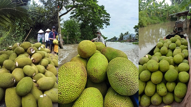 Giá mít Thái hôm nay 4/8: Vì sao nông dân, thương lái và vựa đẩy mạnh mua bán mít Thái trên mạng xã hội? - Ảnh 1.