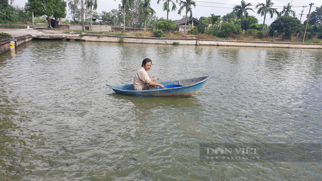 Thái Bình: Hàng trăm tấn cá đặc sản không có đầu ra, giá giảm một nửa nhưng vẫn khó bán. - Ảnh 3.