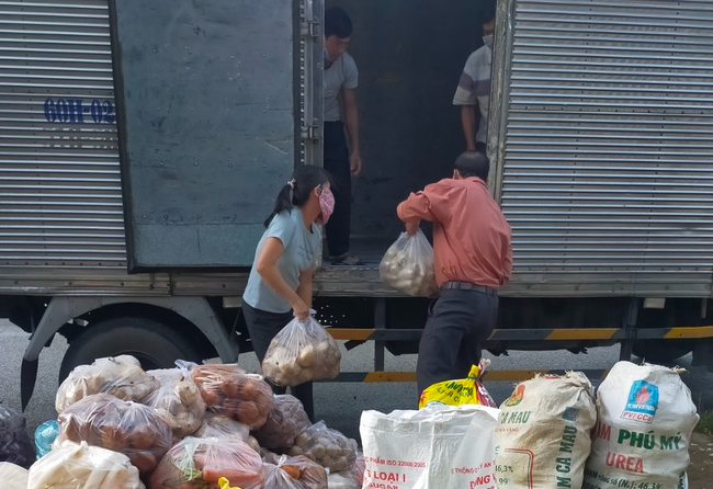 Hội nông dân tỉnh Lâm Đồng: Gửi tới vùng dịch Covid-19 gần 300 tấn “rau yêu thương” - Ảnh 3.