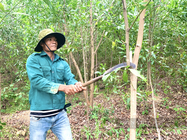 Quảng Bình: Chàng trai Vân Kiều nuôi trâu, dê, cá, lãi 200 triệu/năm, bật mí chiêu chữa bệnh cho dê - Ảnh 2.