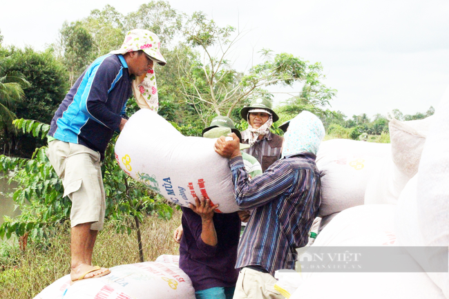 Nghịch lý: Khách quốc tế vẫn muốn mua gạo Việt Nam mà doanh nghiệp không giao hàng được - Ảnh 1.