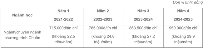 Học phí các trường danh tiếng ngành Kinh tế Quốc tế: Từ 18,5 triệu đồng/năm đến 334 triệu đồng/khóa - Ảnh 6.