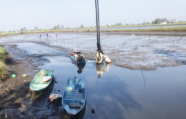 Nông dân miền Tây không dám thả nuôi vụ mới do lo lắng không bán được tôm - Ảnh 2.