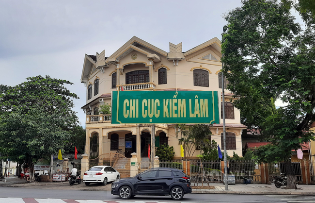 Chi cục Kiểm lâm Quảng Trị lập khống hồ sơ, sai phạm hơn 1 tỷ đồng: Chánh Thanh tra tỉnh lên tiếng - Ảnh 1.