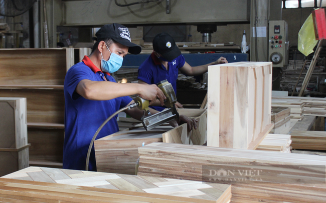 Công nhân chế biến gỗ ở công ty gỗ Thuận An (Bình Dương). Ảnh: Nguyên Vỹ