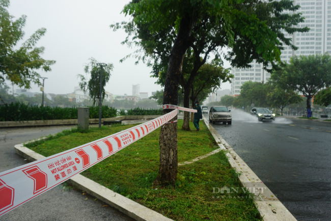 Ảnh: Mưa trắng trời trước bão, đường phố Đà Nẵng ngập thành sông - Ảnh 8.