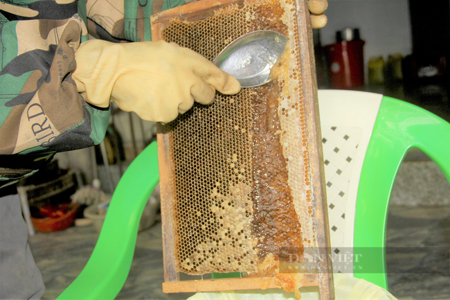 Hà Tĩnh: Nông dân gặp khó đầu ra mật ong do dịch Covid-19 - Ảnh 7.