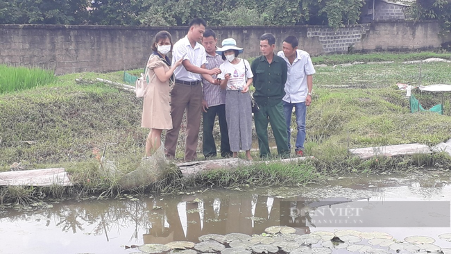 Hội Nông Dân tỉnh Thái Nguyên: Kết nối hội viên, chia sẻ kinh nghiệm giúp nhau làm giàu - Ảnh 1.