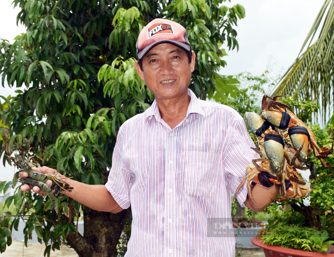 Khâu vận chuyển tôm, cua Cà Mau bị gián đoạn, nơi sản xuất dư thừa - nơi tiêu thụ thiếu hụt - Ảnh 4.