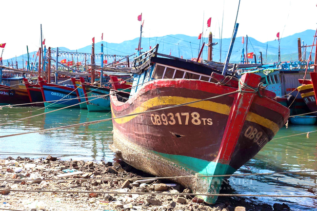 Quảng Bình: Không ai cấm ra khơi, nhiều tàu cá vẫn ủ ê nằm bờ - Ảnh 2.