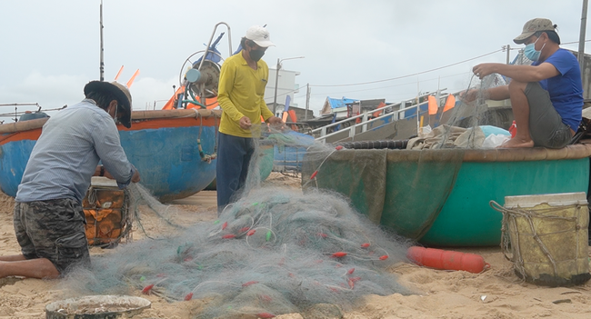 Bà Rịa – Vũng Tàu: Tàu hậu cần nhổ neo ra khơi để tiếp tế lương thực cho ngư dân - Ảnh 2.