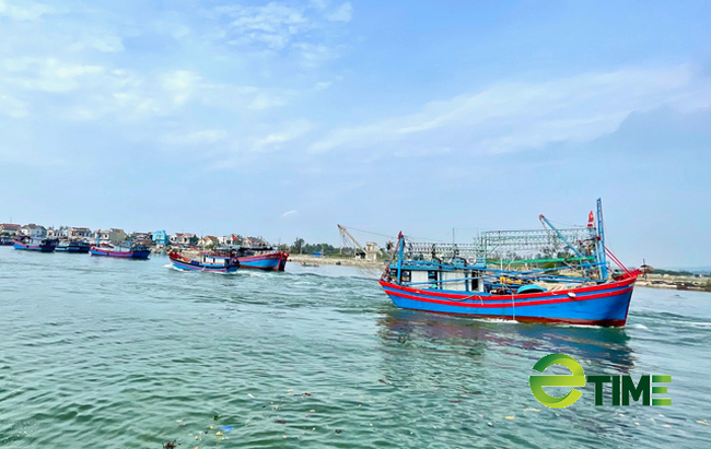 Quảng Ngãi: Chủ tịch tỉnh cho phép tàu cá ra khơi trước lệnh cấm được cập cảng, bán cá  - Ảnh 3.