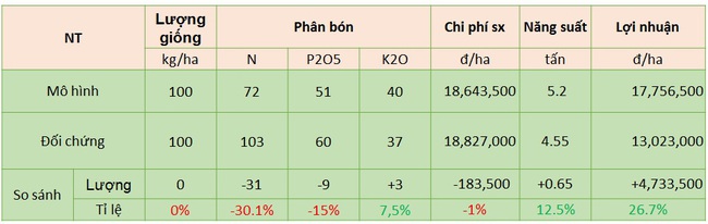 Đất nhiễm mặn đầu vụ, thêm cả “giặc”… chuột, nông dân trồng lúa xứ Dừa vẫn thắng lớn nhờ cách làm này - Ảnh 3.