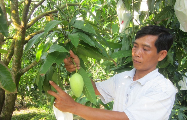 Cấp &quot;căn cước công dân&quot; cho cây trồng, vật nuôi - Ảnh 3.