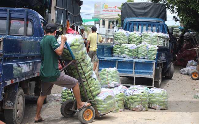 Người dân vận chuyển rau củ quả về chợ đầu mối nông sản ở huyện Dương Minh Châu, Tây Ninh. Ảnh: Trần Khánh