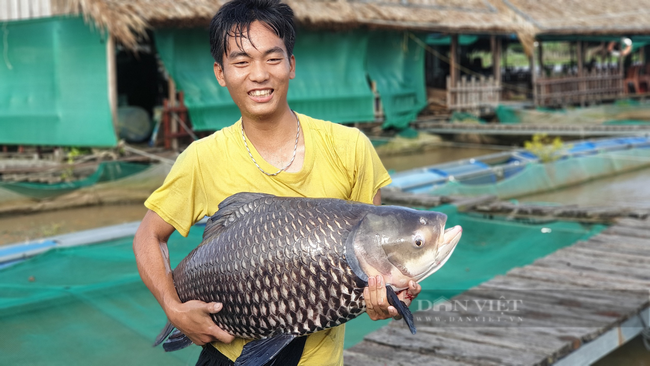 Người đàn ông làm giàu từ việc nuôi cá quý hiếm kết hợp với làm du lịch cộng đồng - Ảnh 6.