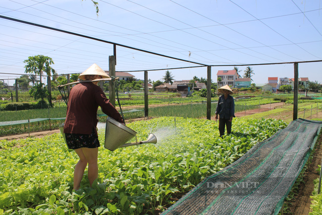 Bài 2 thí điểm đón khách quốc tế trở lại: Kích cầu du lịch nhằm đổn định lại kinh tế - Ảnh 4.