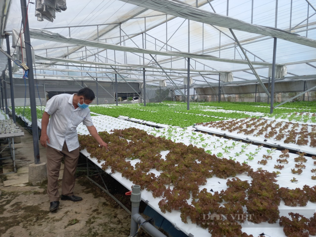Sang tận Malaysia học nghề trồng rau thủy canh, 8X Đà Nẵng thu lãi 20 triệu đồng/tháng - Ảnh 6.
