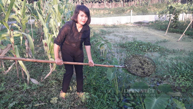 Thái Nguyên: Cô giáo mầm non về làng nuôi đam mê với nghề nuôi ốc nhồi - Ảnh 2.