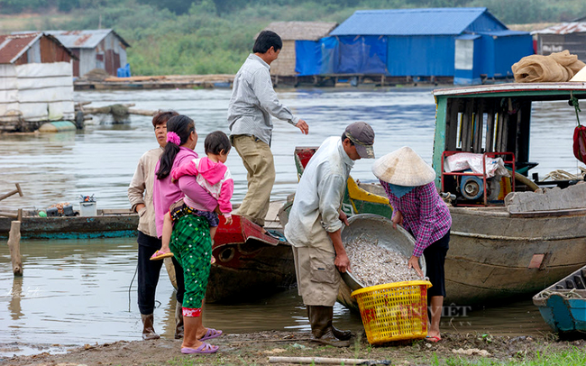 Trước dịch Covid-19, làng nuôi cá lồng bè La Ngà ở huyện Định Quán (Đồng Nai) khá nhộn nhịp. Ảnh: Hải Đình