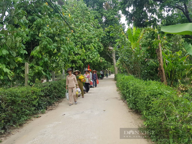 Quảng Nam: Nhiều giải thưởng hấp dẫn tại cuộc thi &quot;Vườn - Tường - Đường đẹp&quot; - Ảnh 1.