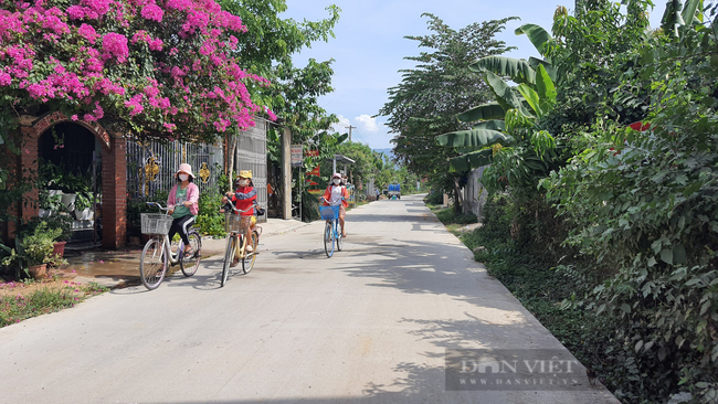 Quảng Nam: Nhiều giải thưởng hấp dẫn tại cuộc thi &quot;Vườn - Tường - Đường đẹp&quot; - Ảnh 3.