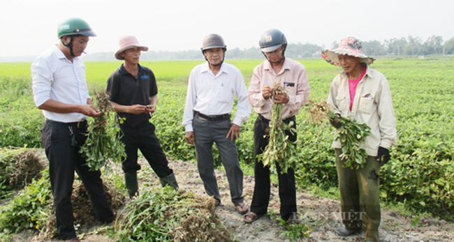 Quảng Nam: Hành trình 10 năm xây dựng nông thôn mới giúp Quế Sơn thay đổi diện mạo - Ảnh 7.